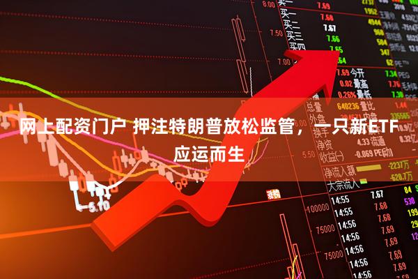 网上配资门户 押注特朗普放松监管，一只新ETF应运而生