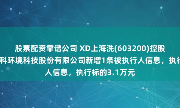 股票配资靠谱公司 XD上海洗(603200)控股的天津蓝天环科环境科技股份有限公司新增1条被执行人信息，执行标的3.1万元