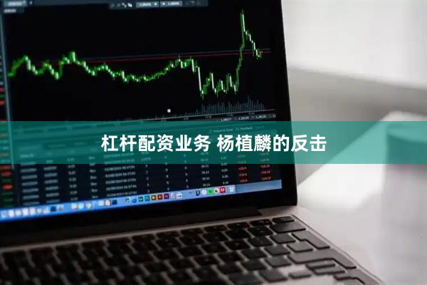 杠杆配资业务 杨植麟的反击